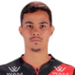 Arthur Henrique Peixoto Santos