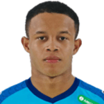 Pedro Henrique Silva dos Santos